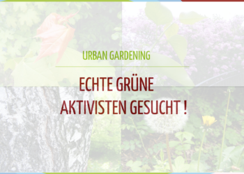 Urban Gardening – Wir suchen Teilnehmer!