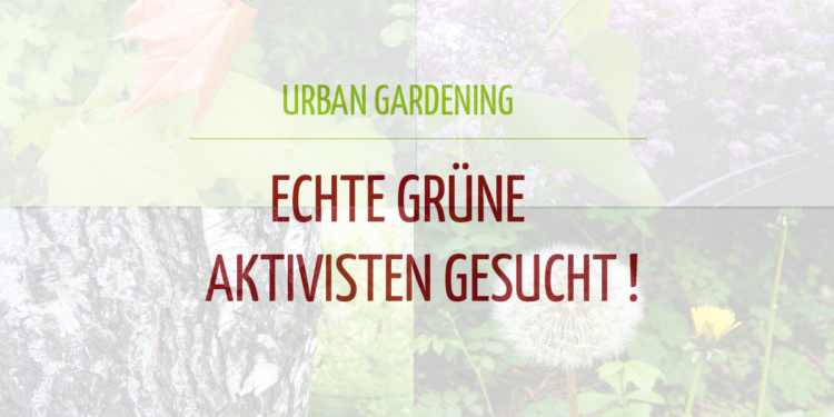 Urban Gardening – Wir suchen Teilnehmer!