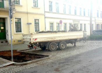 Dresden Plauen wird grüner