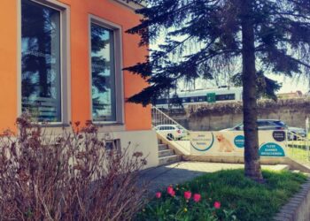 Werbeagentur Dresden markenbuero
