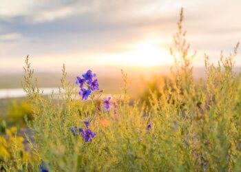 Qualität – der ökologische Anstrich der Welt!