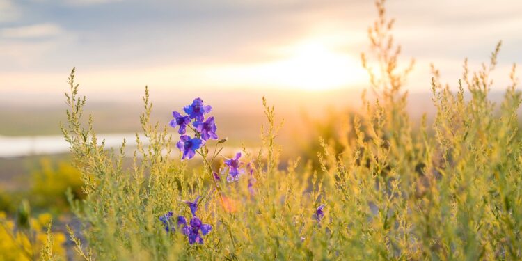 Qualität – der ökologische Anstrich der Welt!